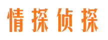 岚县侦探公司